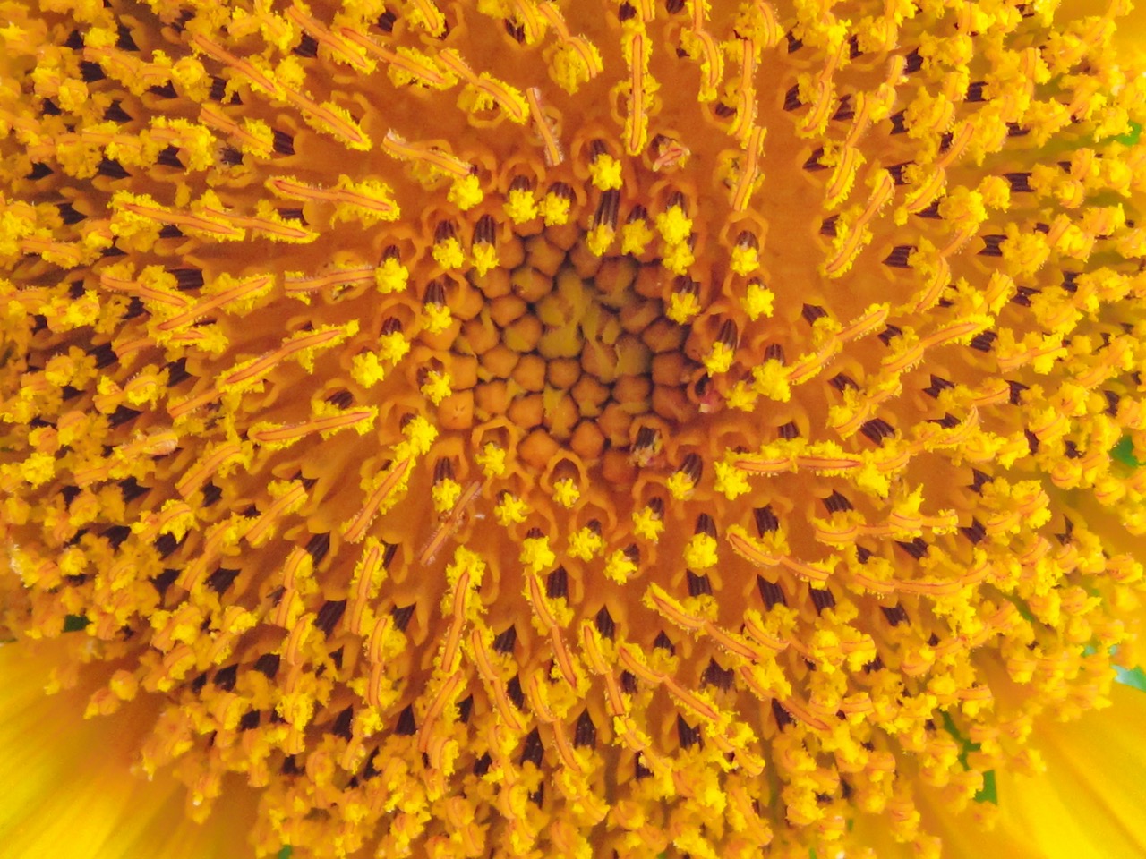 Image for question 10