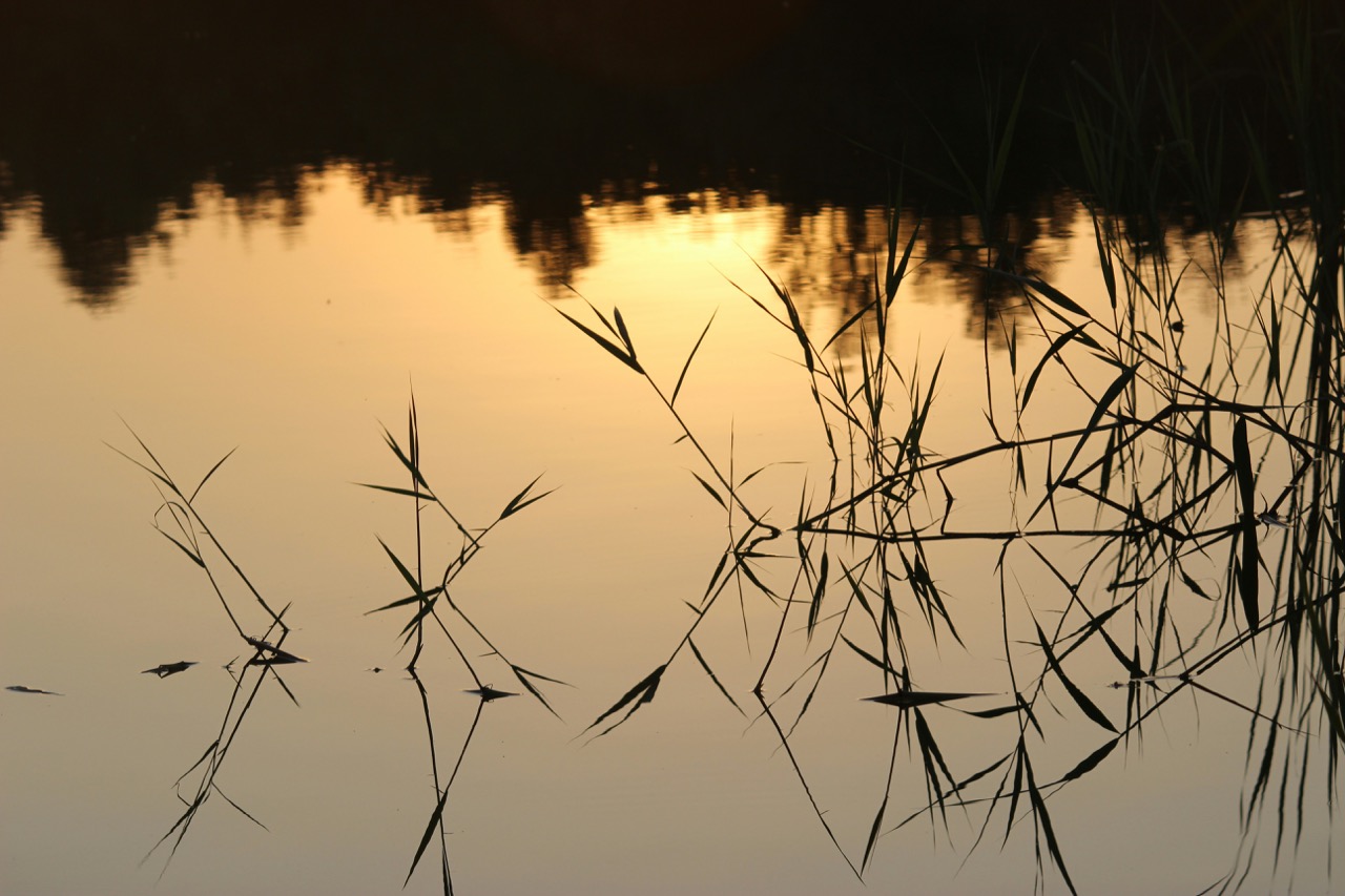Real photo with correct reflections